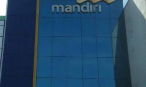 IMG_20221202_061126